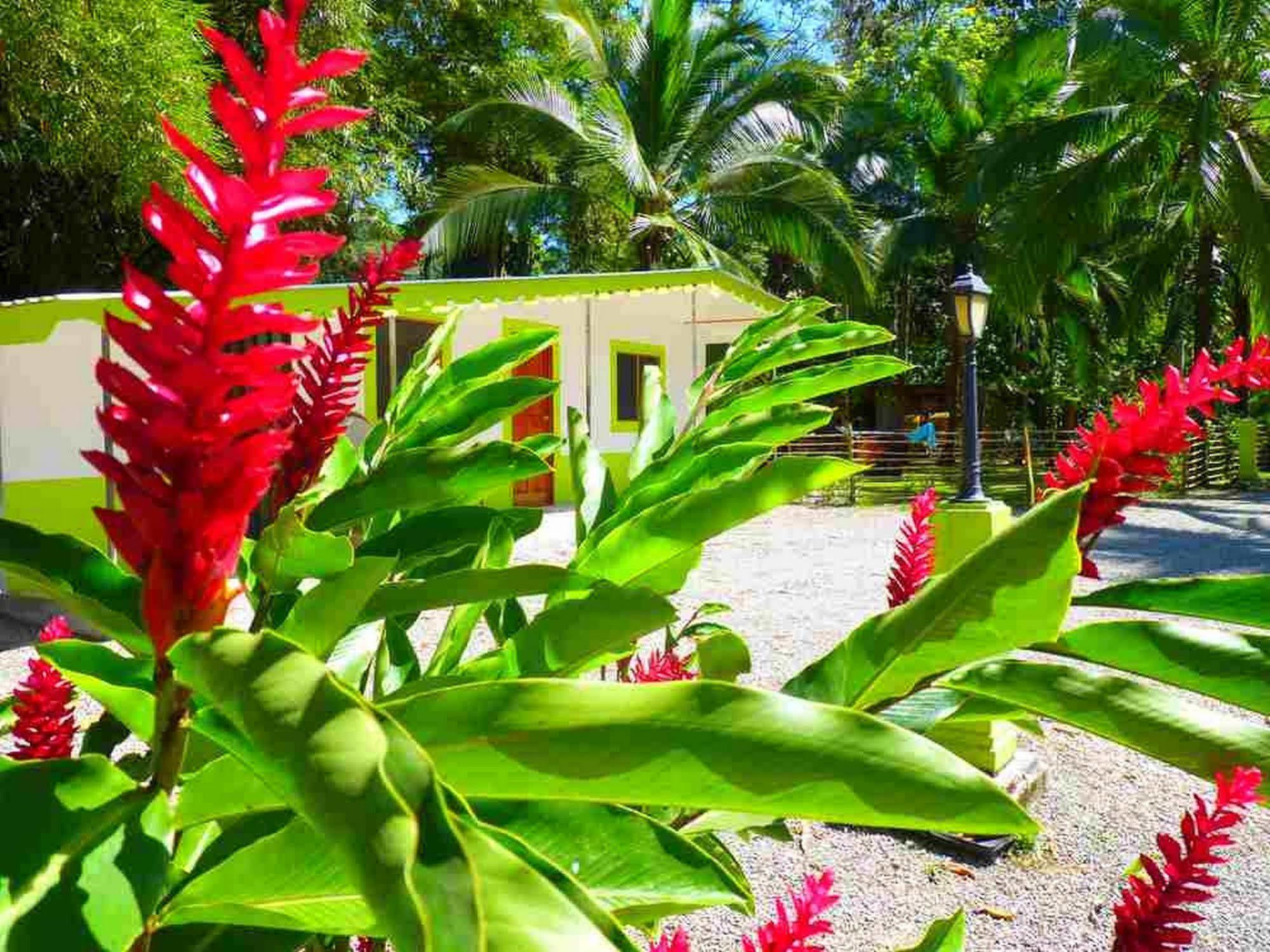 3 Bamboo Eco Bed & Breakfast