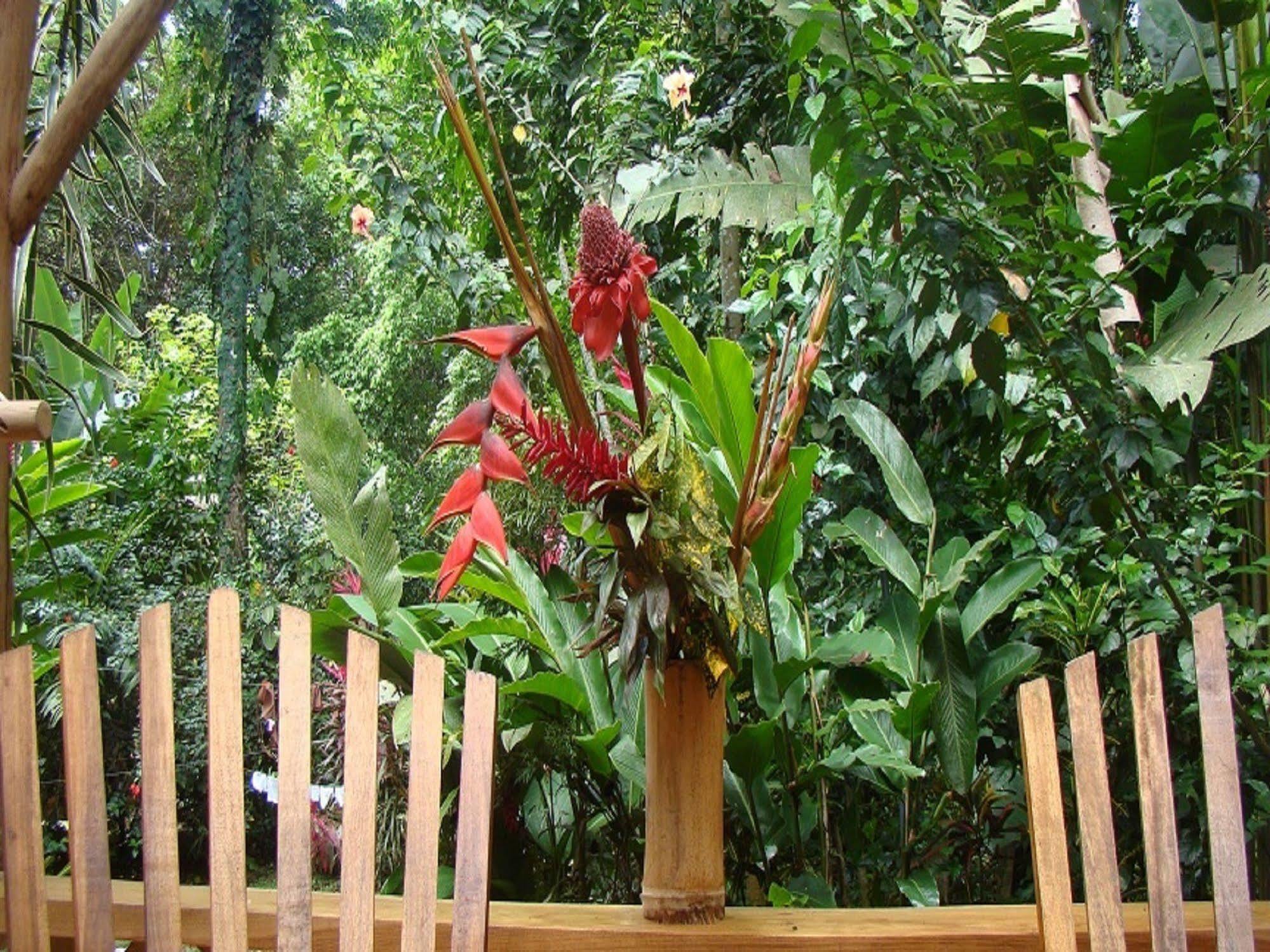 Bed & Breakfast Casa Moabi Cocles