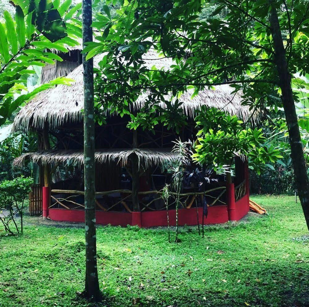 Casa Moabi 2* Cocles