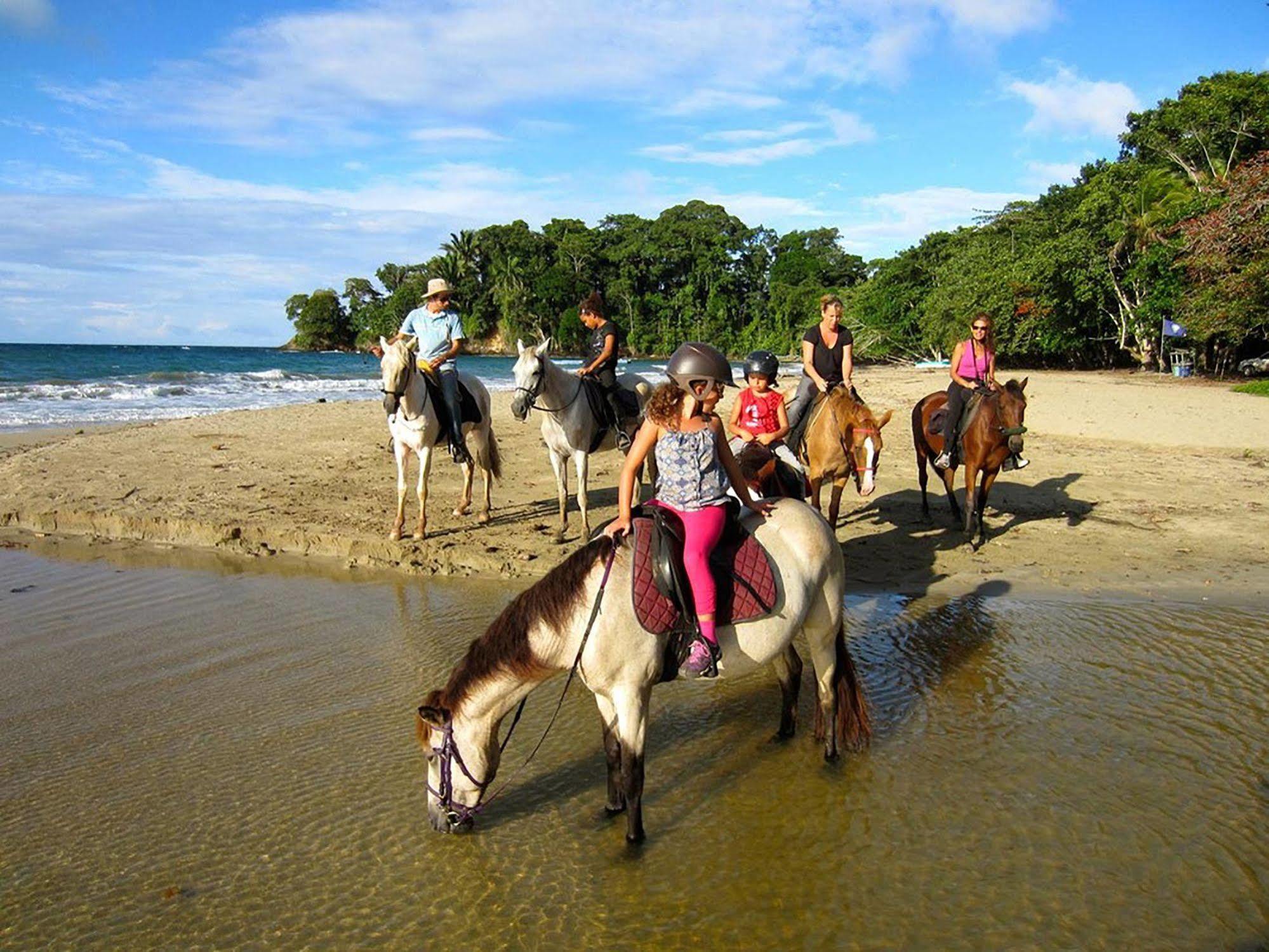 Hotel La Finca Chica 3*