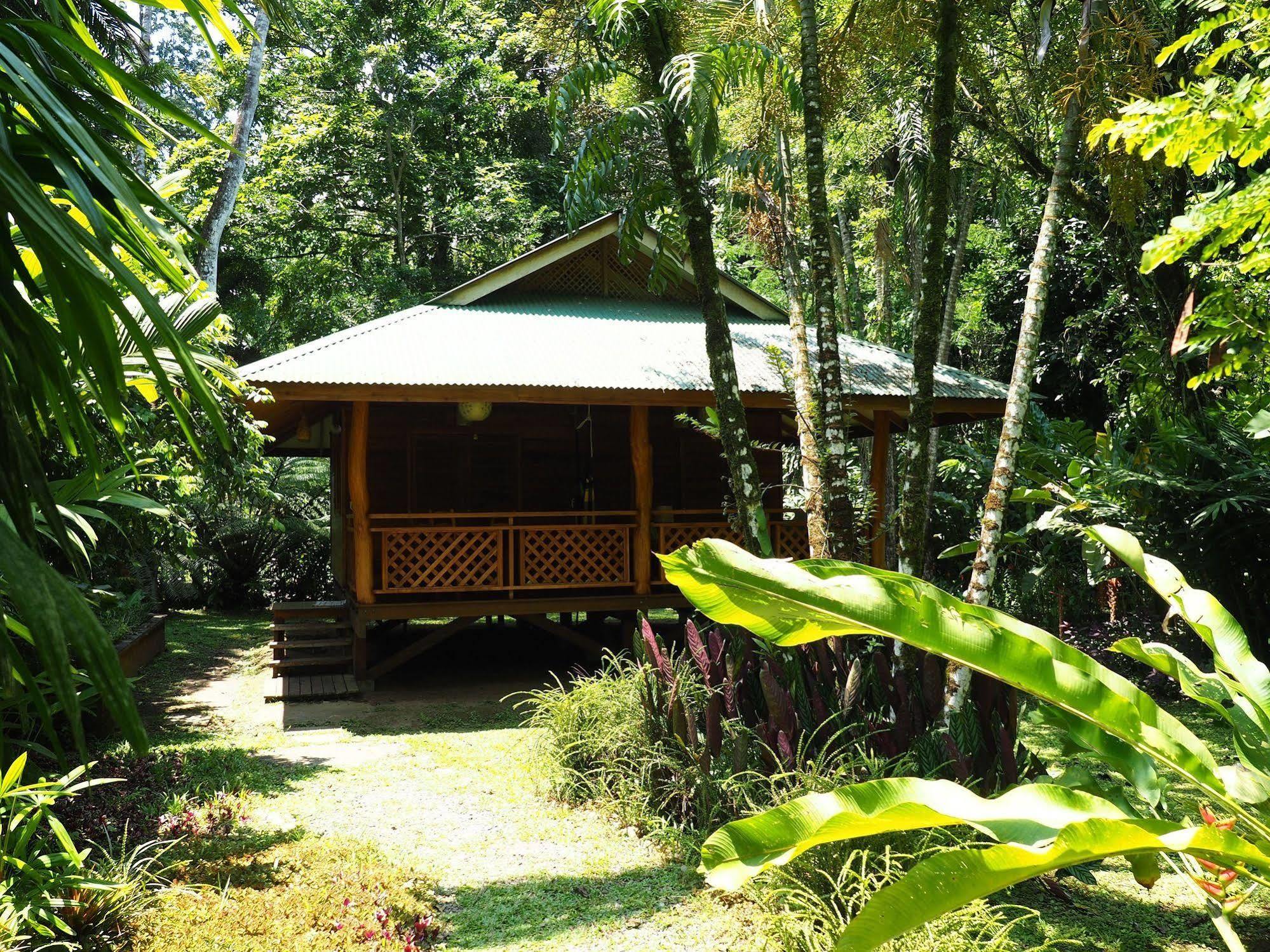 La Finca Chica Cocles