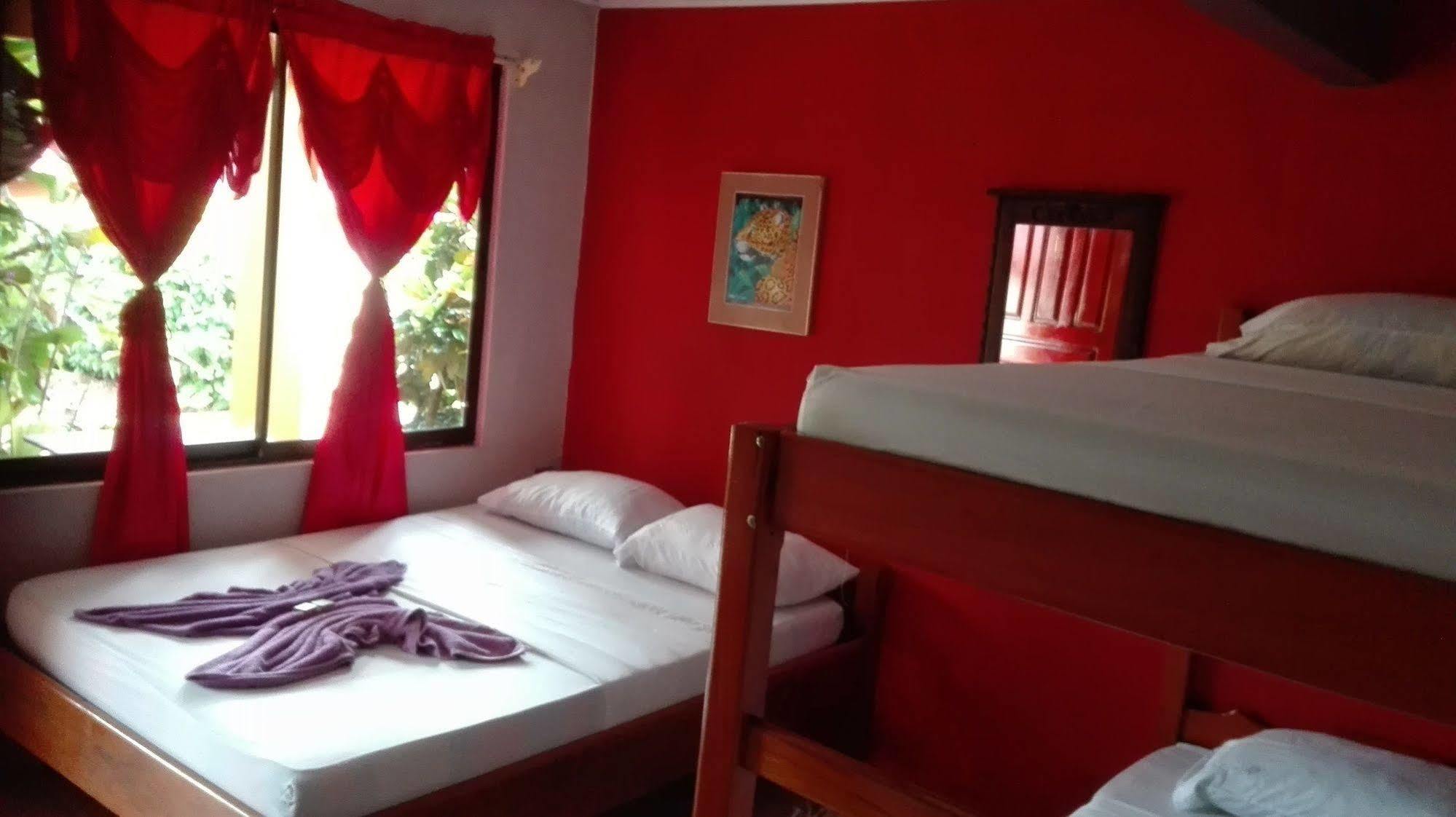 Hotel Cabinas Pura Vida Tour Operator
