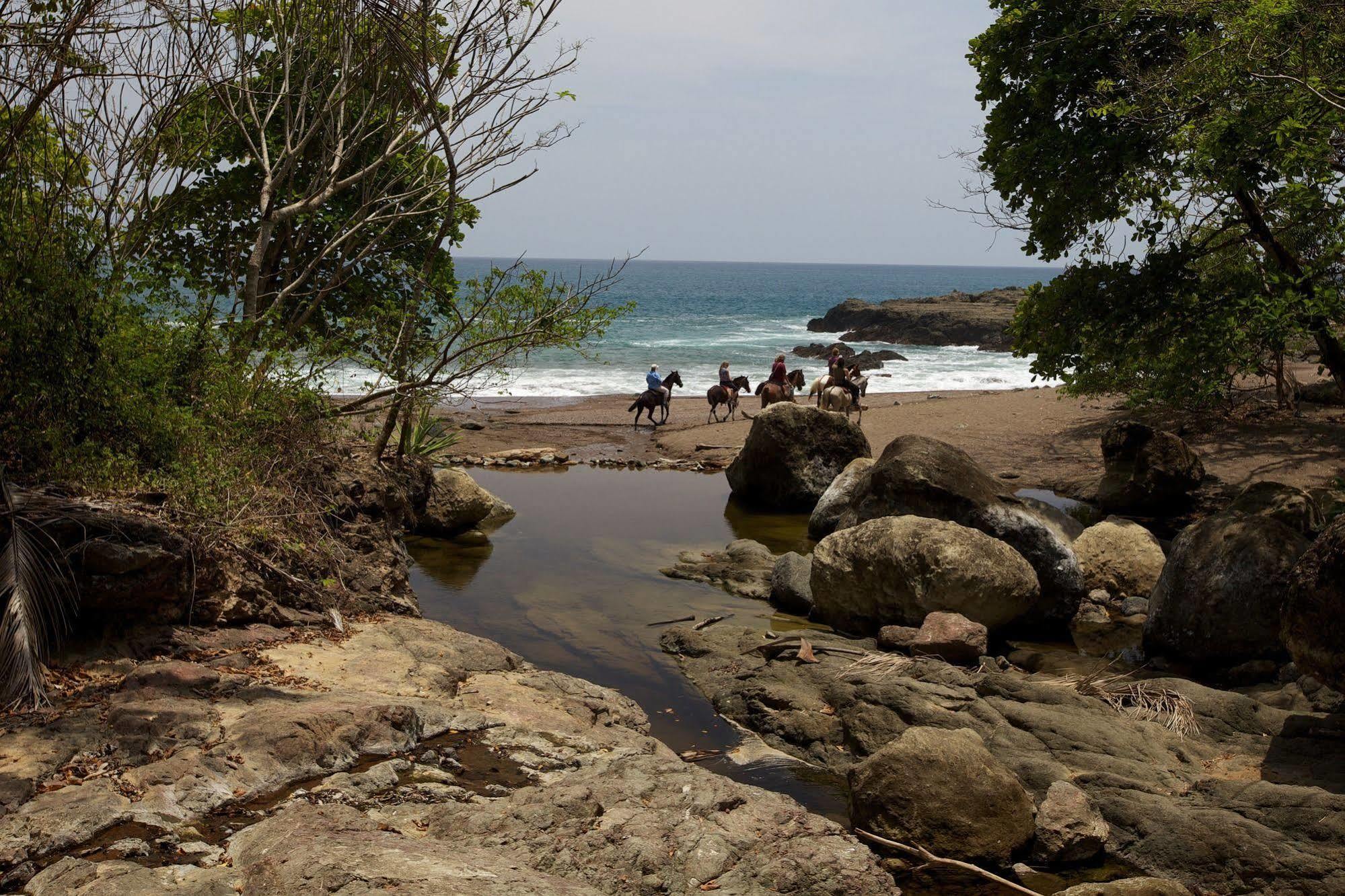 Hotel El Sano Banano Beachside