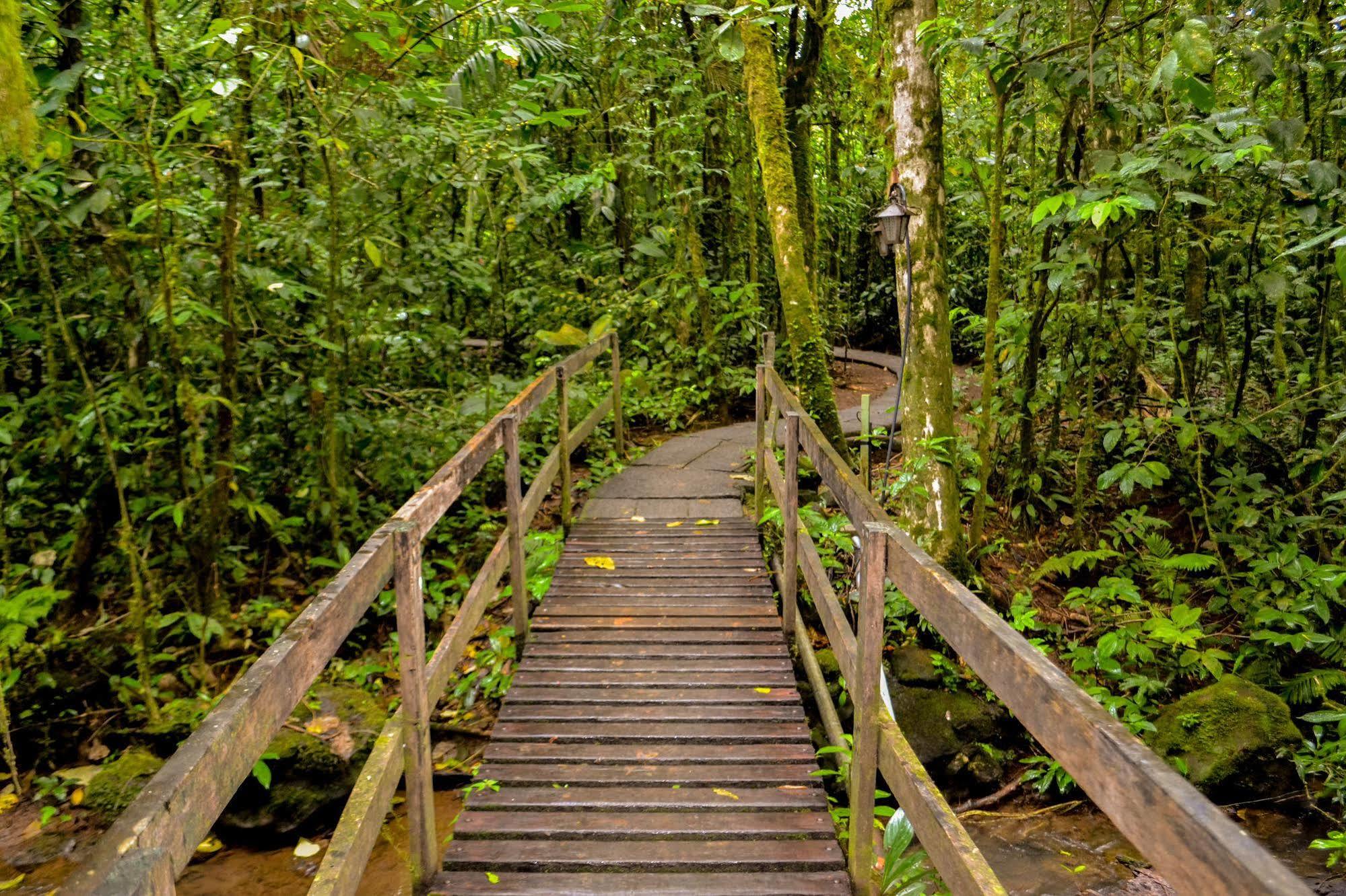 Termales Del Bosque & Hot Springs Hotel 3*