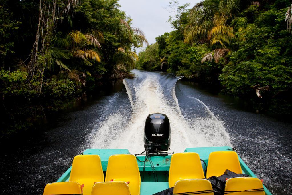 Lodge Turtle Tortuguero