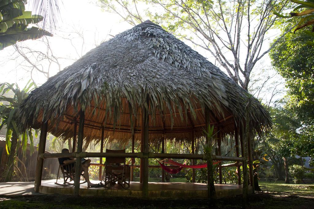 Lodge Turtle *