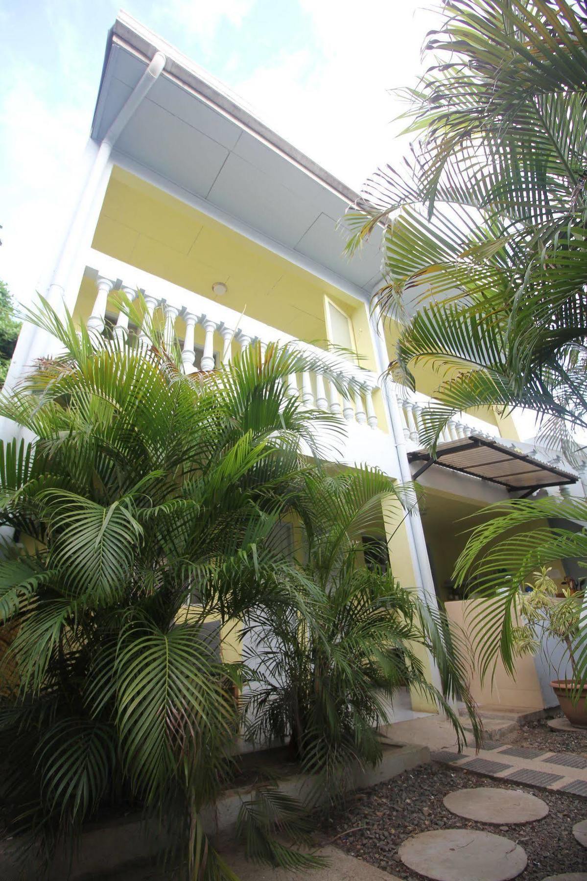 Blue Trailz & Surf Camp Hostel Tamarindo