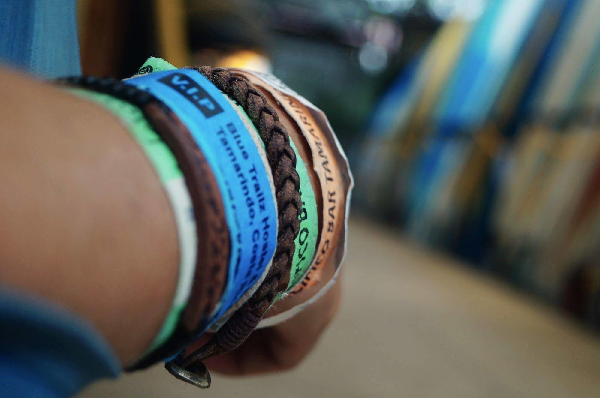 Blue Trailz & Surf Camp *