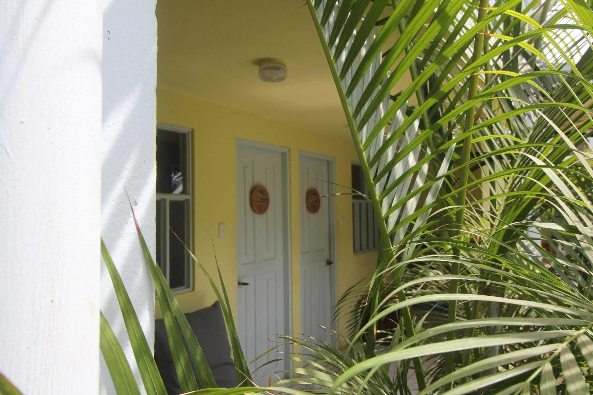Blue Trailz & Surf Camp Hostel