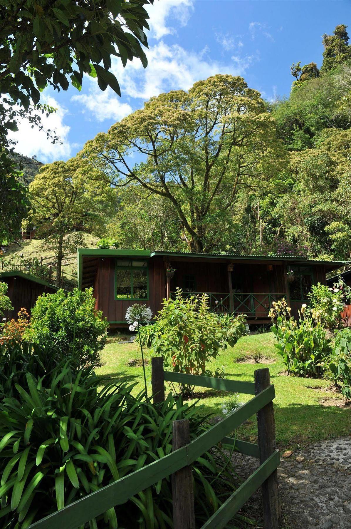 Trogon Lodge San Gerardo de Dota