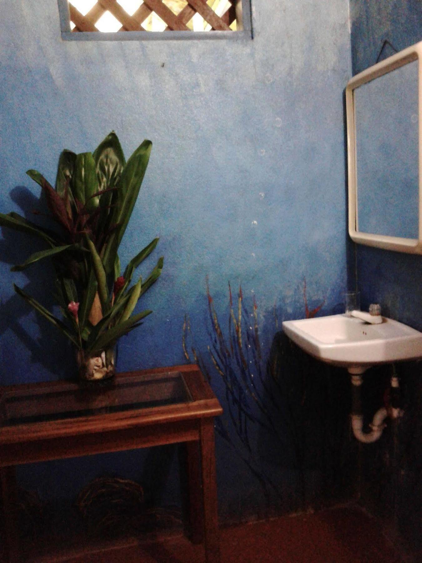 La Chosa Del Manglar Hotel Puerto Jimenez