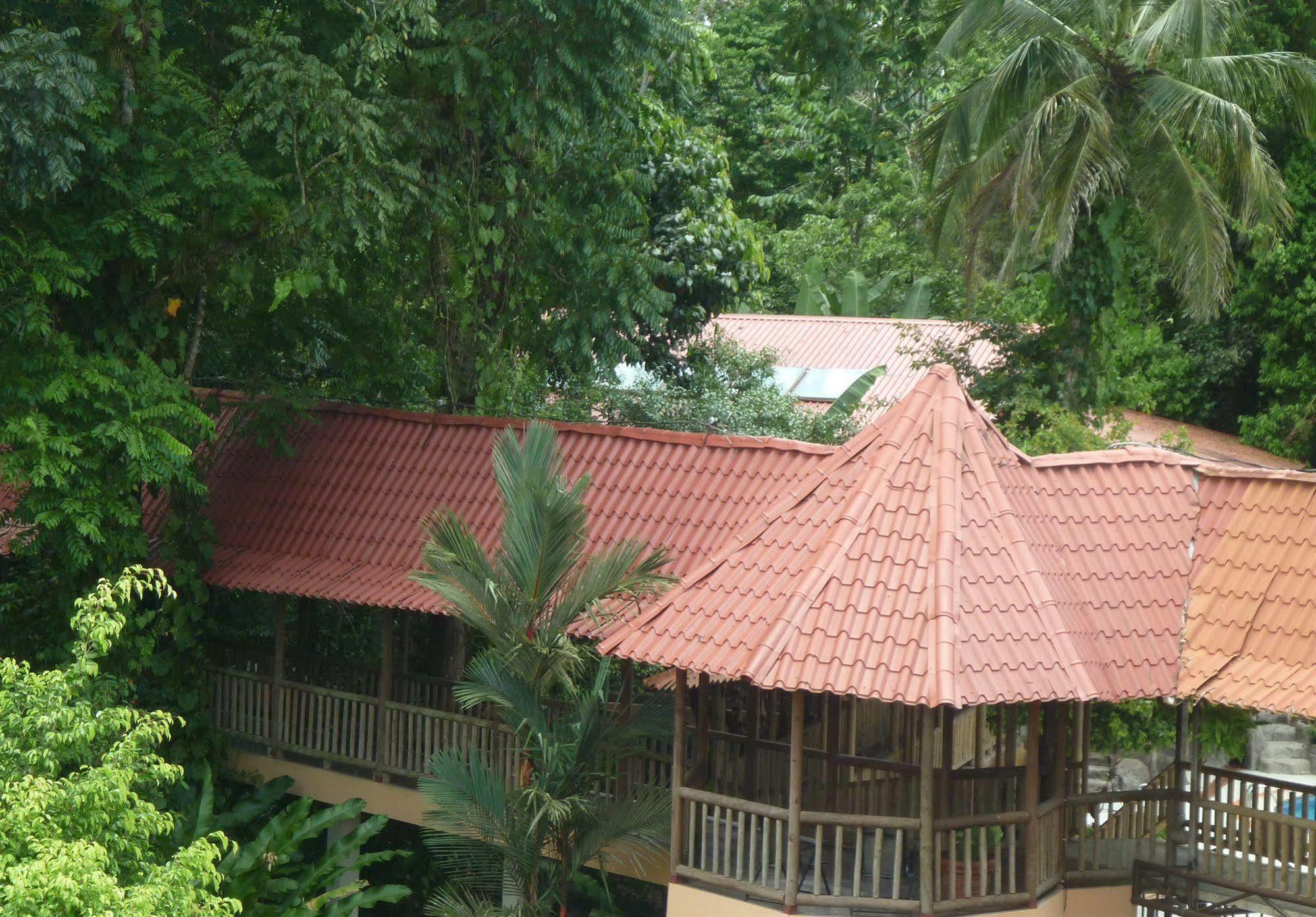 El Bambu