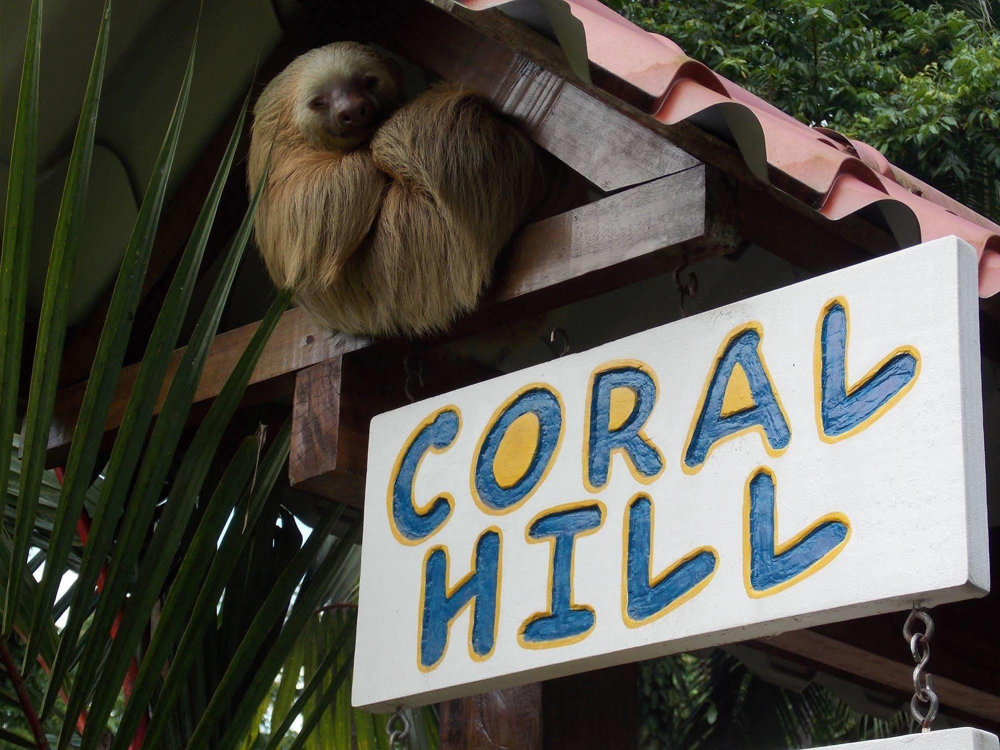 Coral Hill Holiday home *