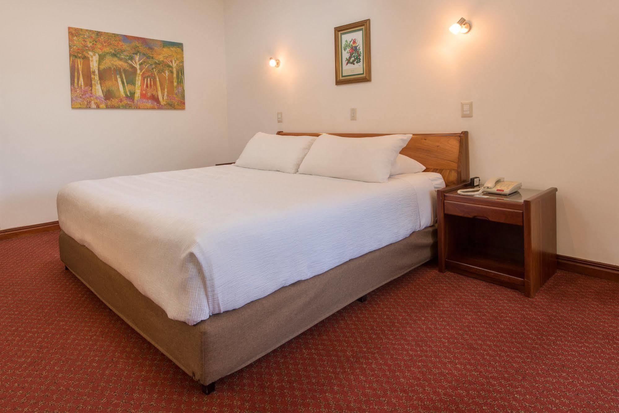 Bougainvillea San Jose Hotel 4*