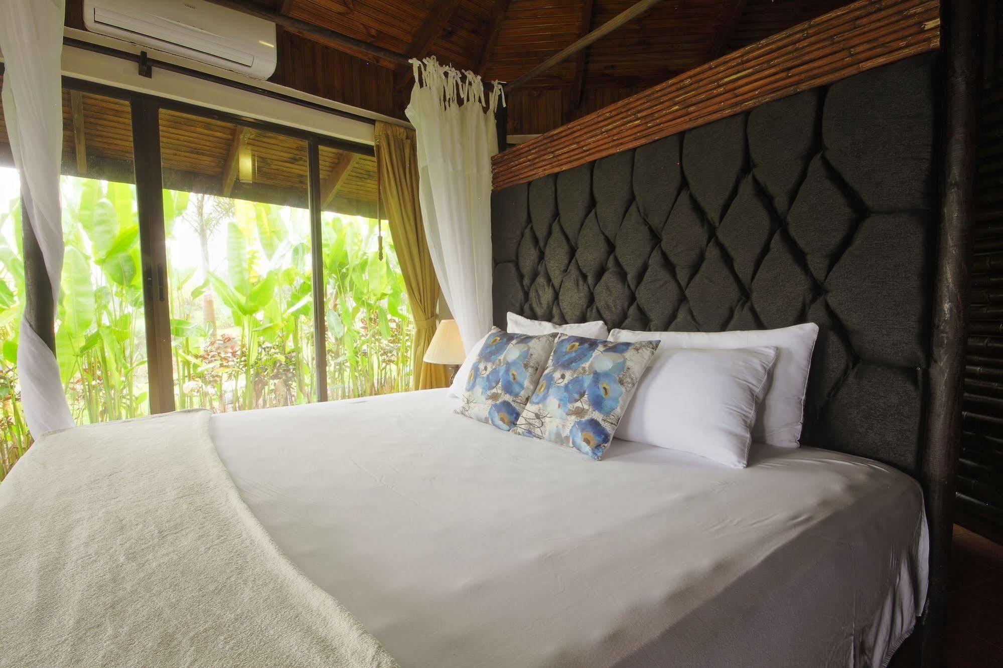 Villa Arenal Waterfall