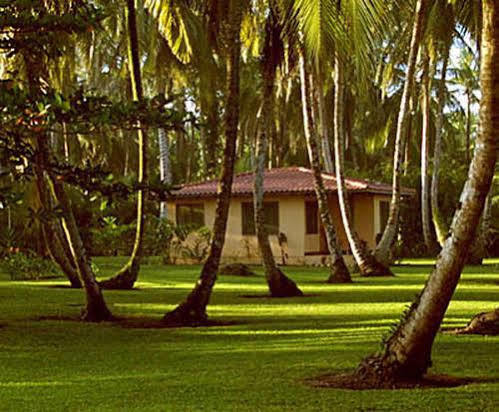Turtle Lodge