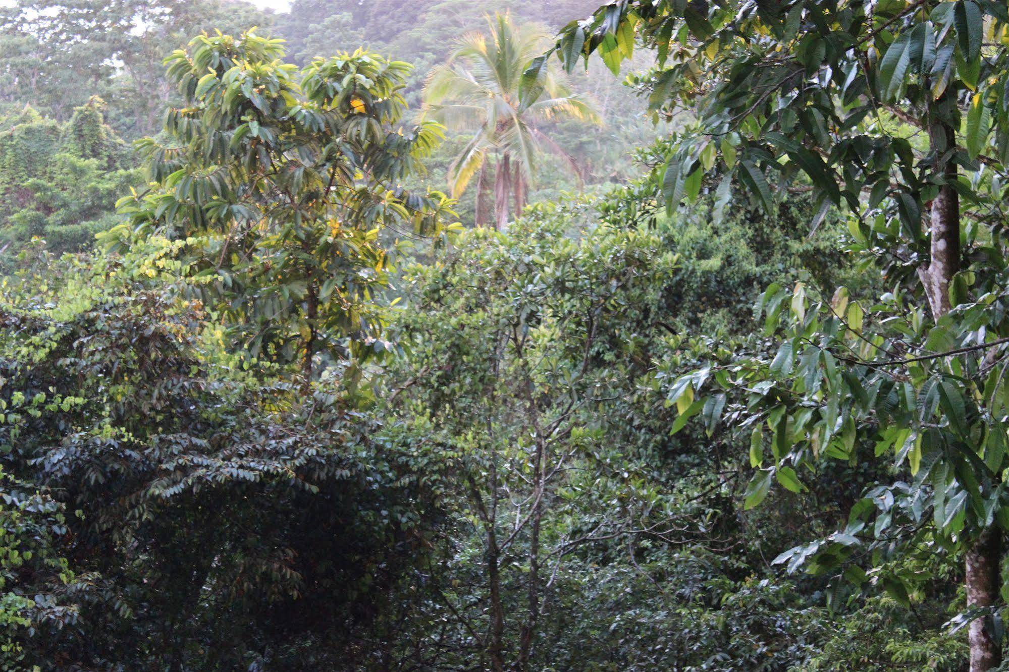Lodge De Oros Ojochal