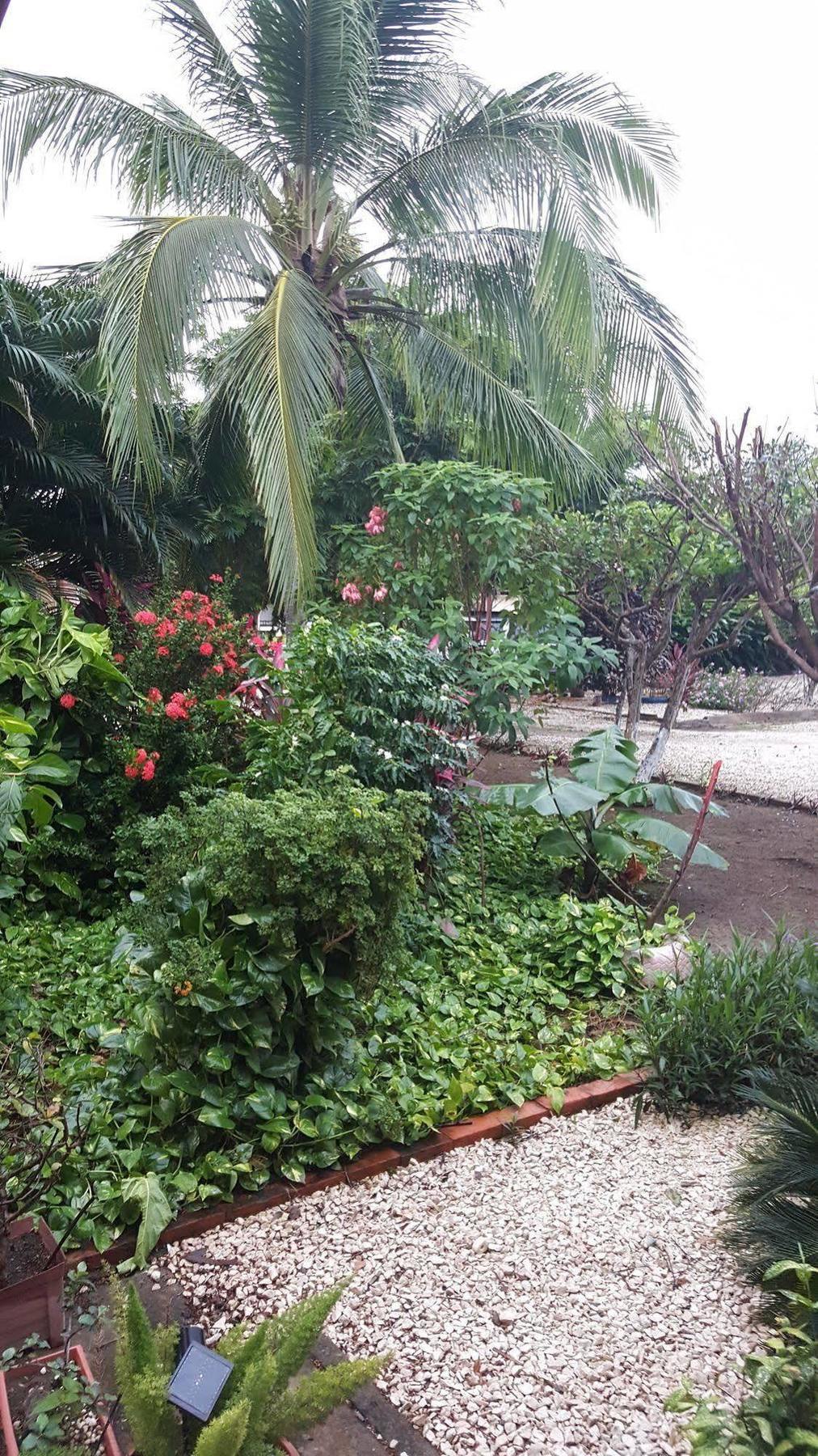 La Arena Hotel Liberia