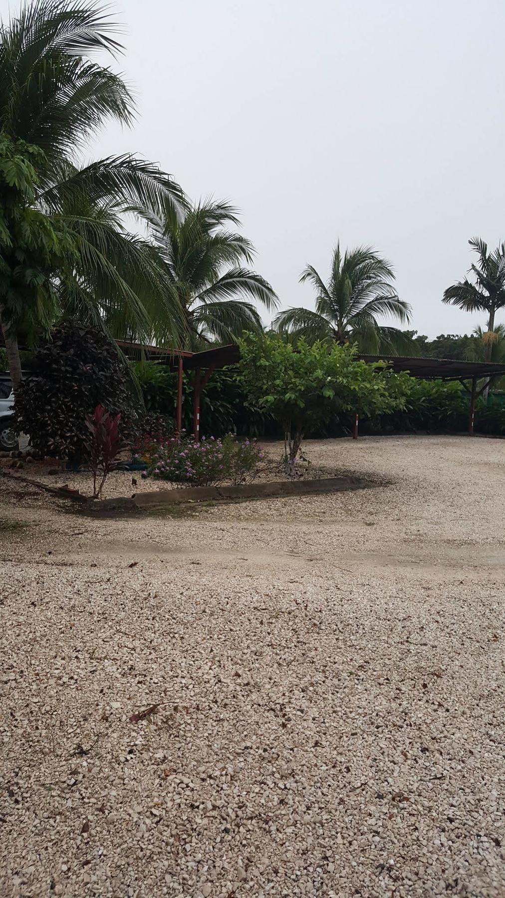 La Arena 3* Liberia
