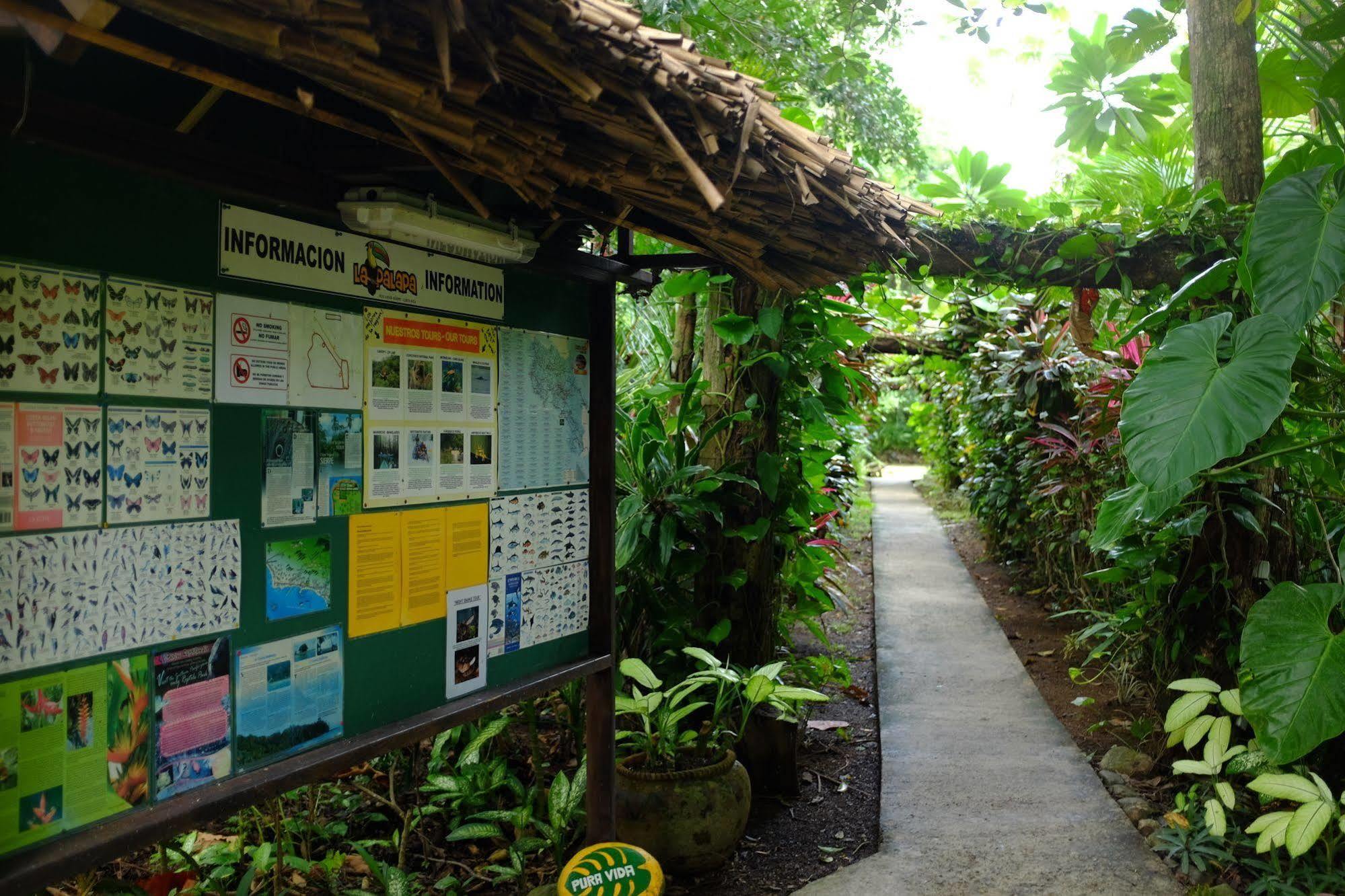 La Palapa