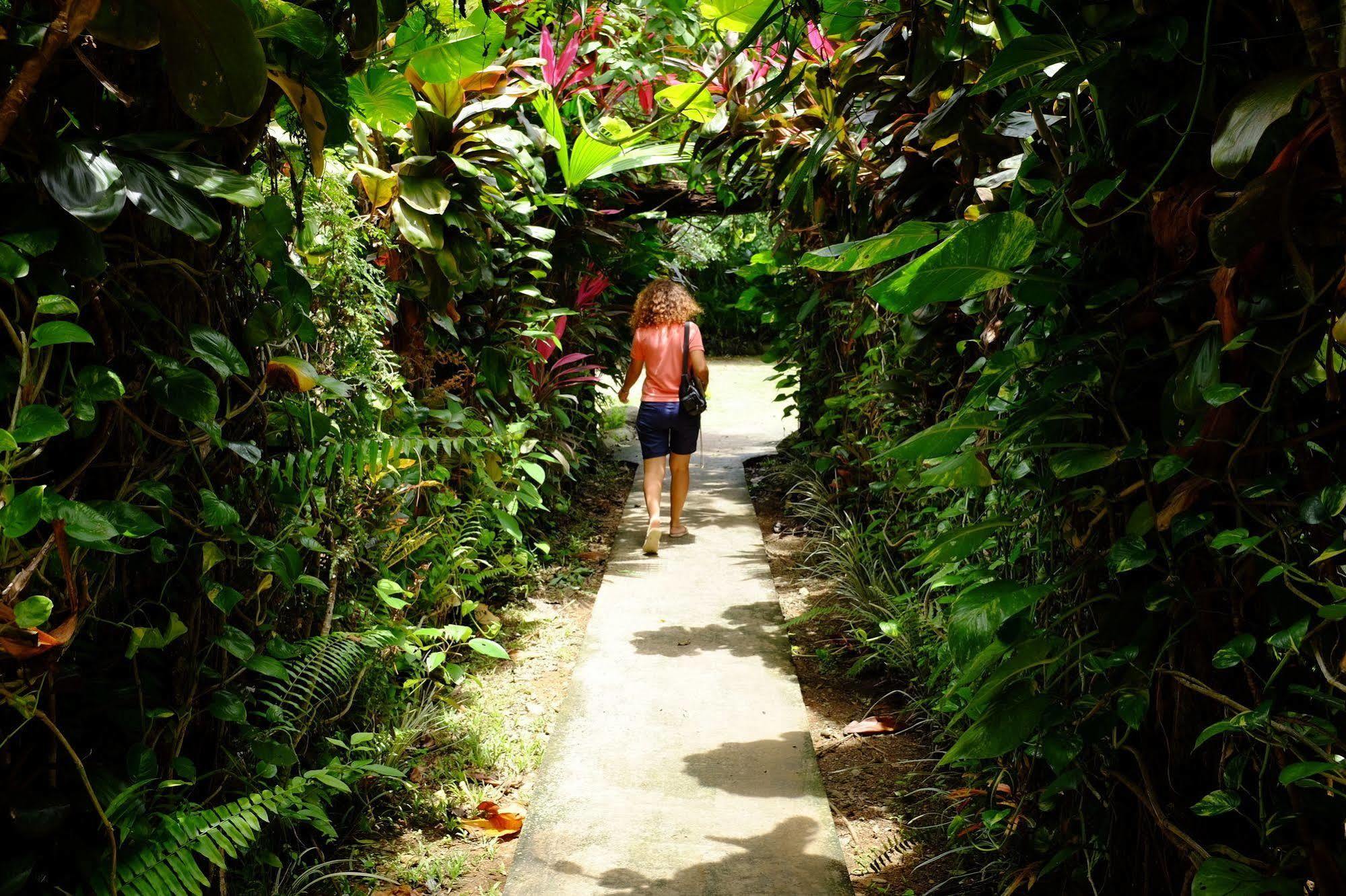 La Palapa 4* Portalon
