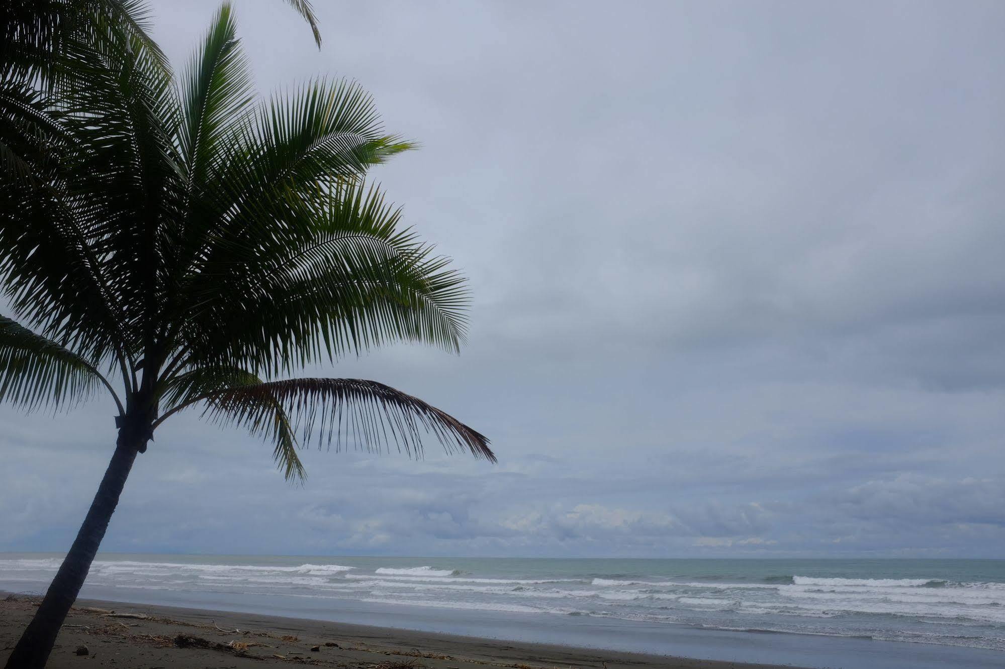 La Palapa Portalon