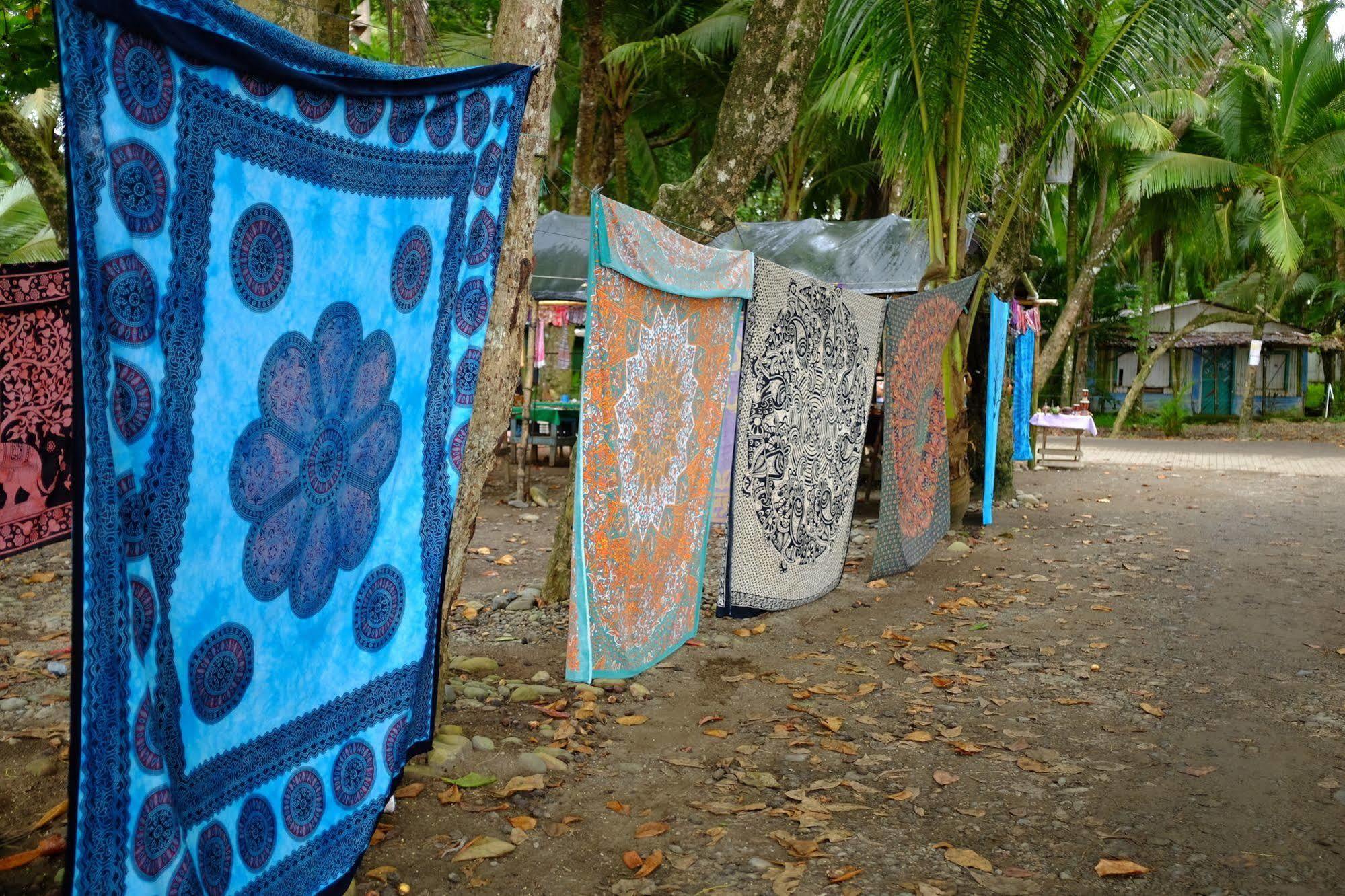 La Palapa