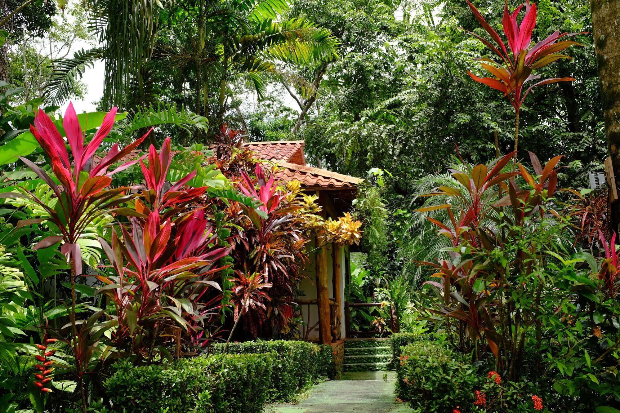La Palapa Hotel