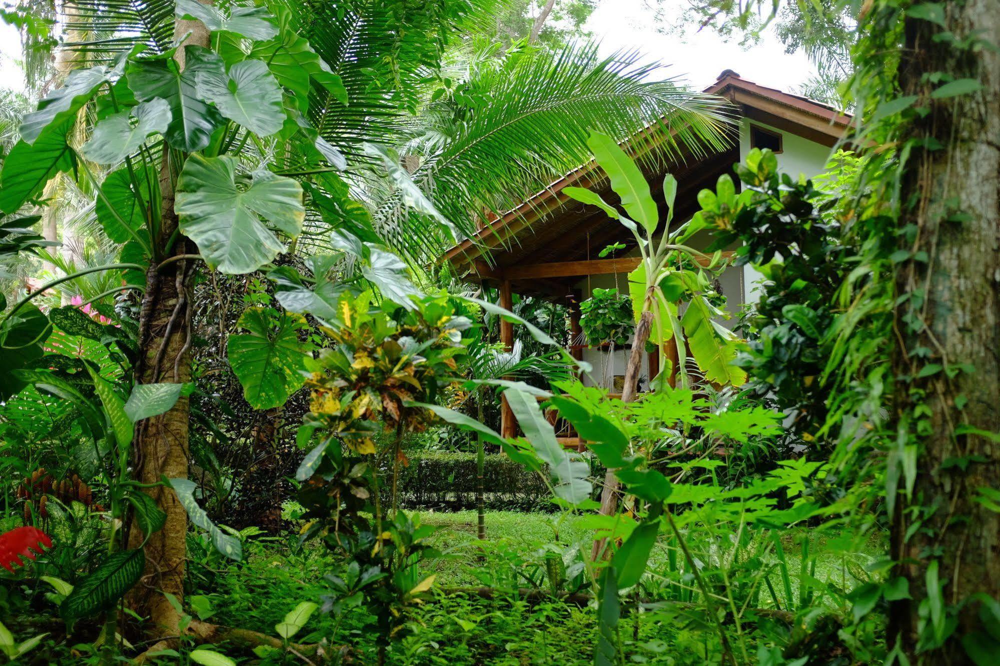 Hotel La Palapa