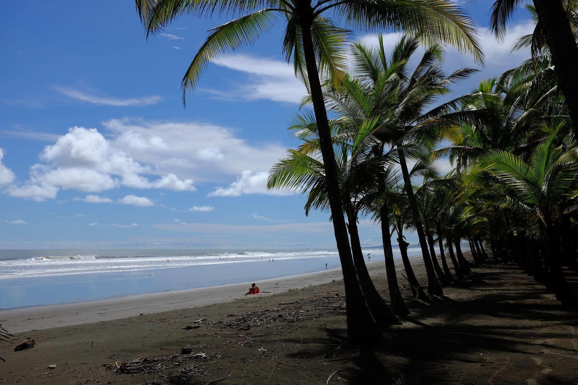 La Palapa 4* Portalon