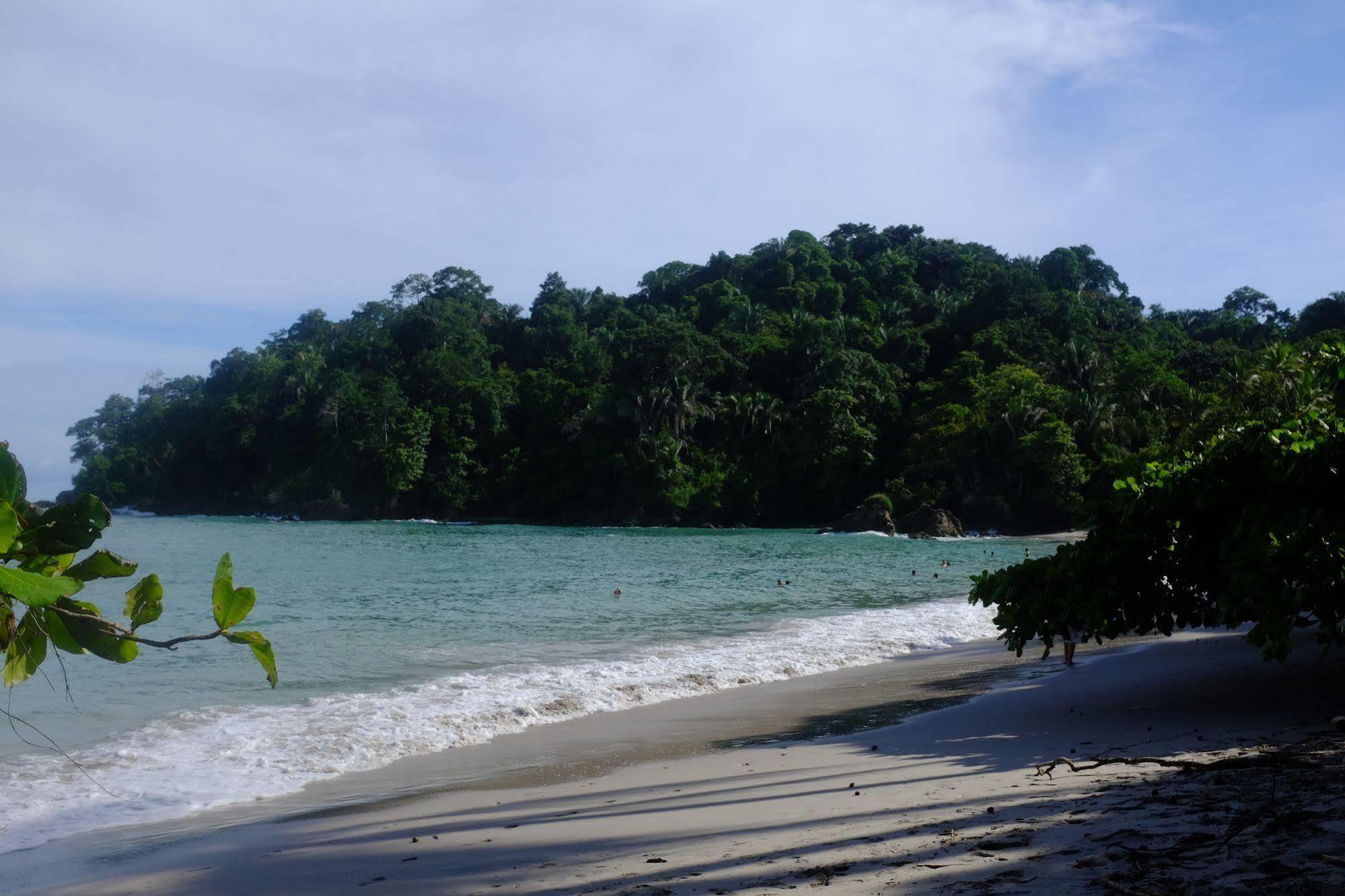 Hotel La Palapa Portalon