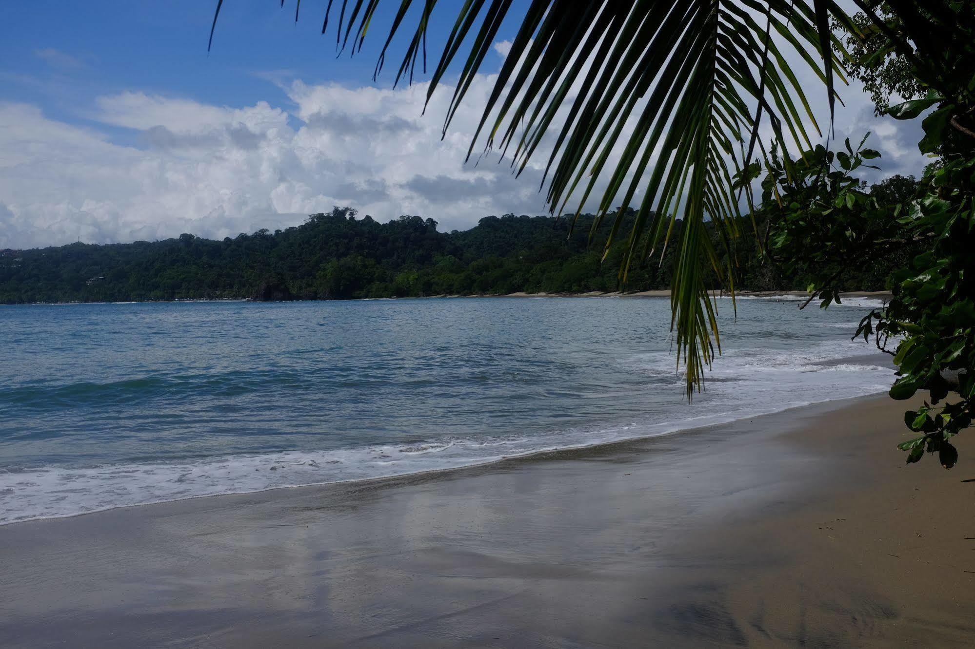 La Palapa