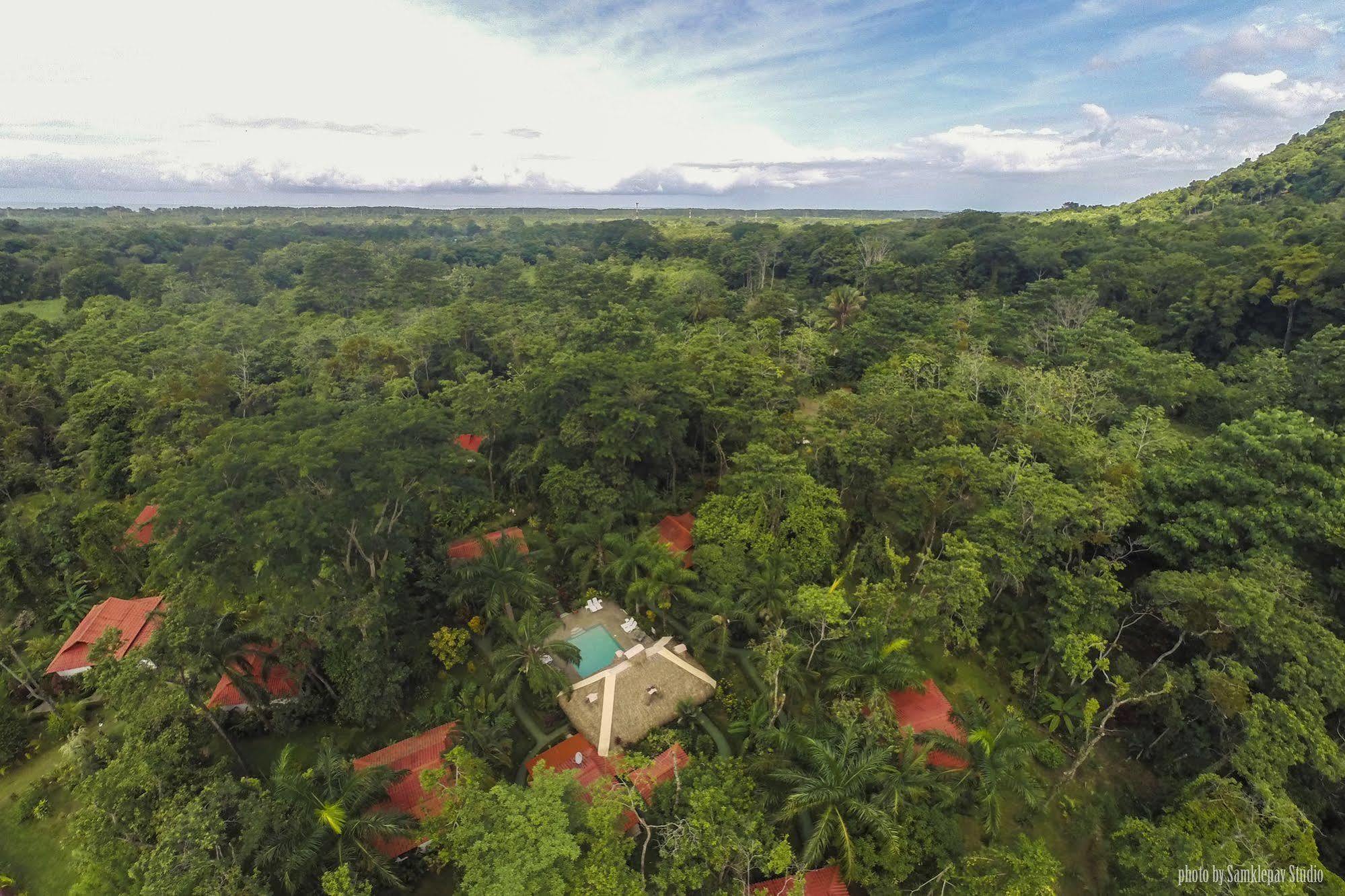 La Palapa