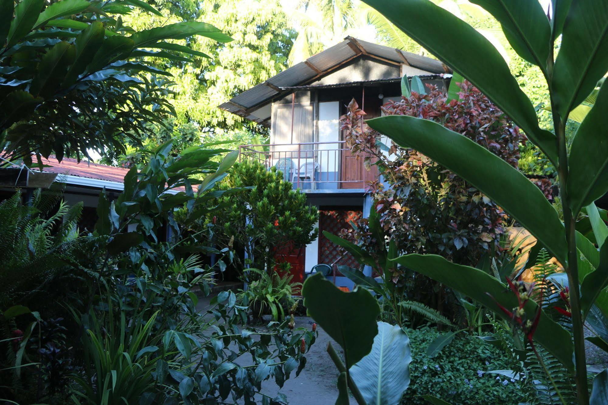 Hotel La Casona De Tortuguero
