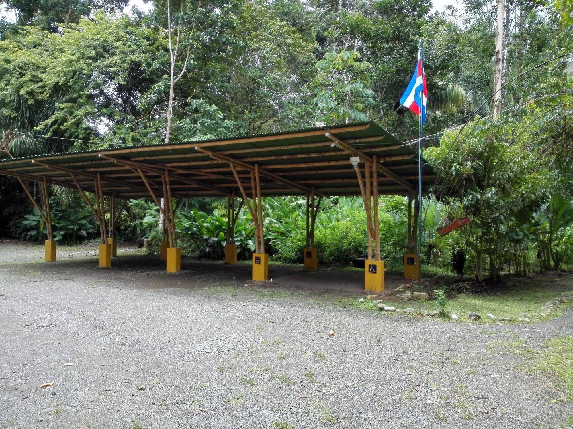 Danta Corcovado