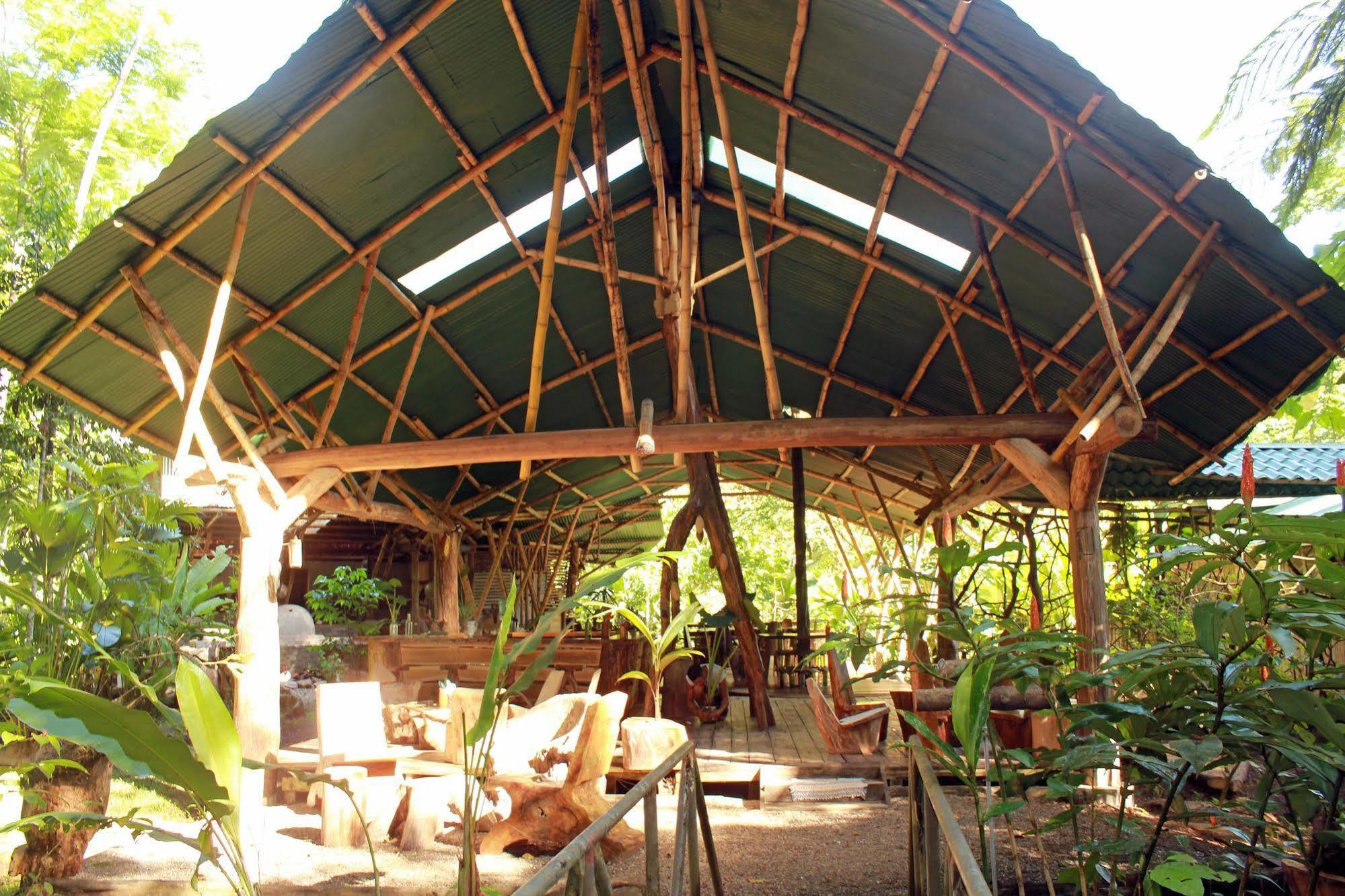 Danta Corcovado