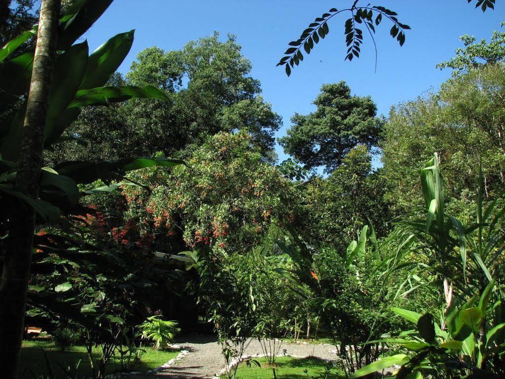 Danta Corcovado Hotel 2*