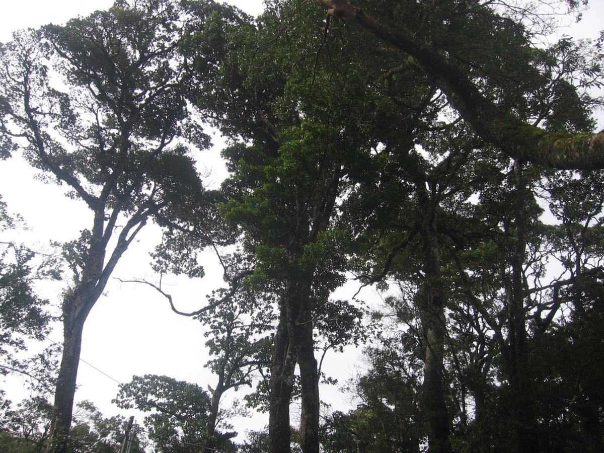 Holiday home Romantic Monteverde