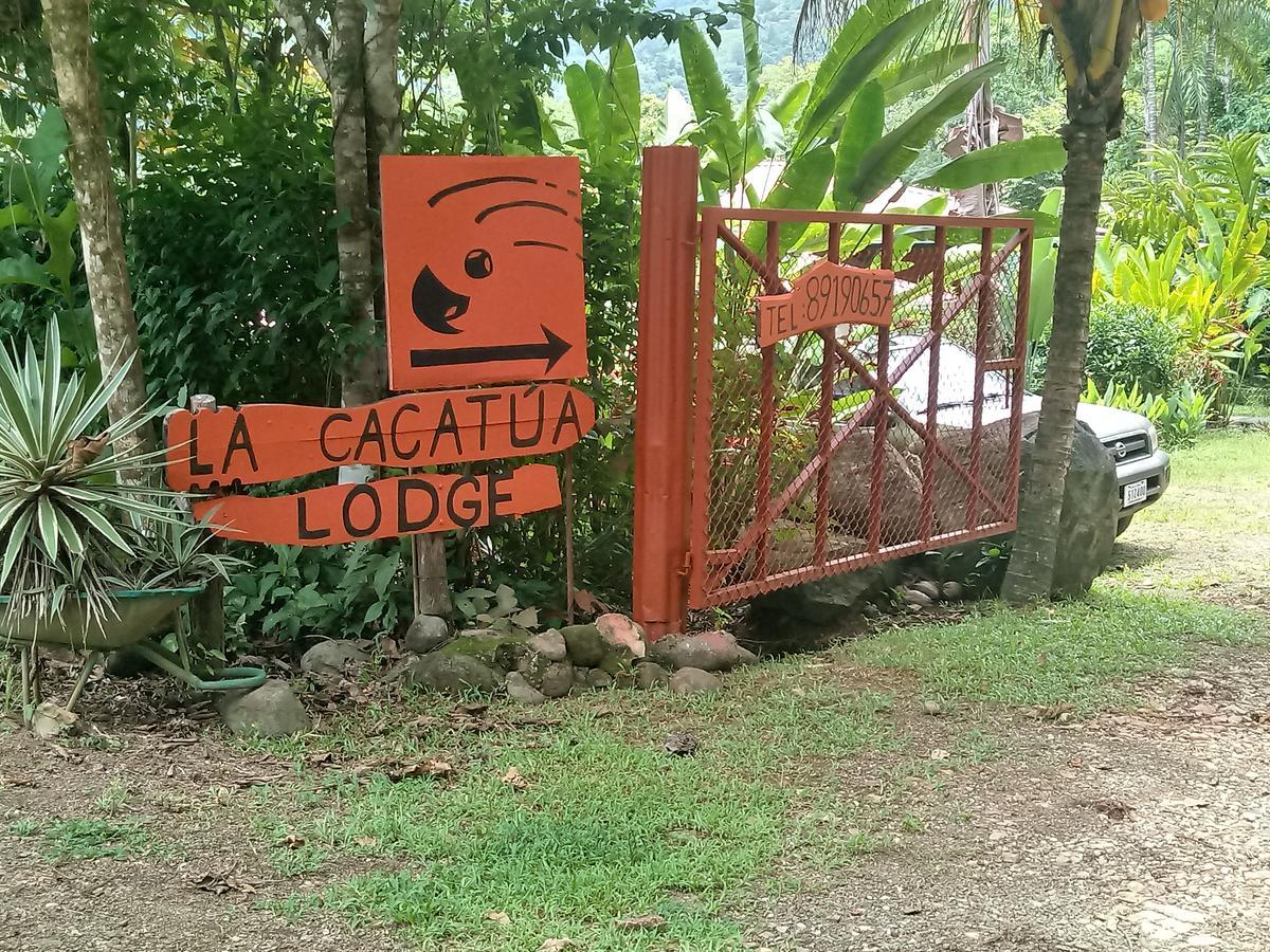 La Cacatua 3* Uvita
