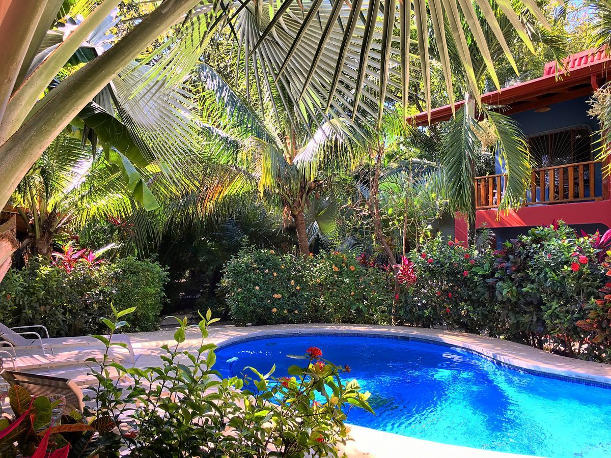 Lodge Tortuga Nosara