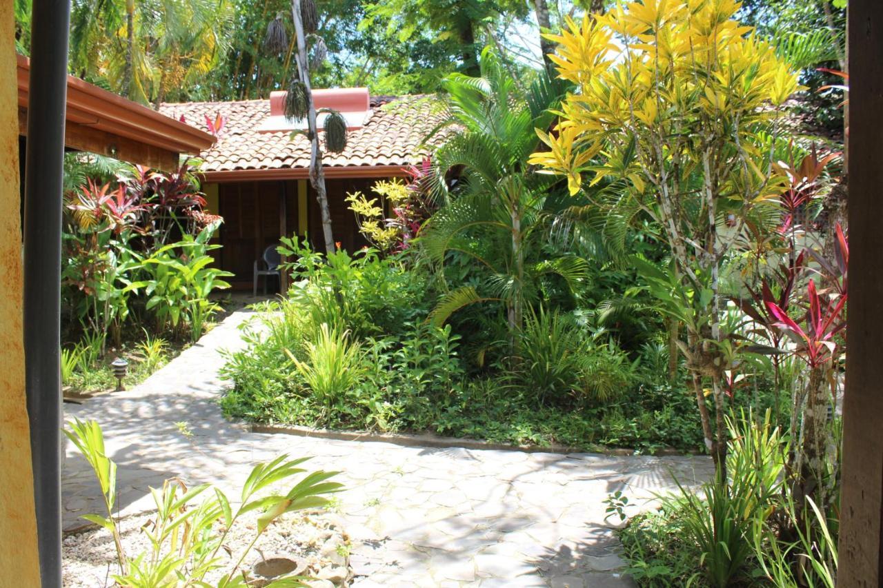 Caballos Montezuma