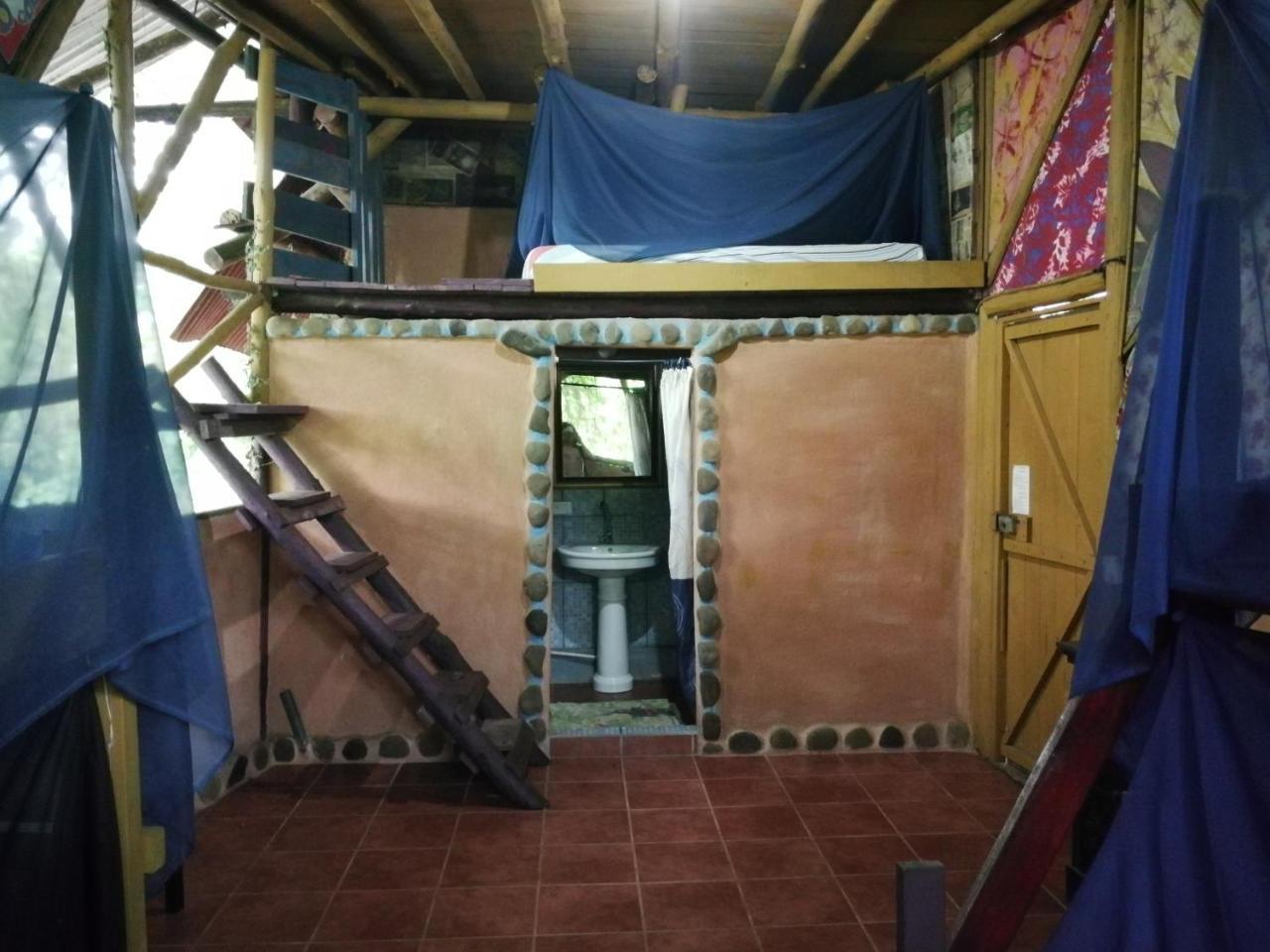 Piramys And Tours In Hostel Dominical
