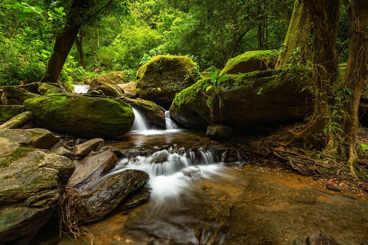 Cascada Elysiana Lodge