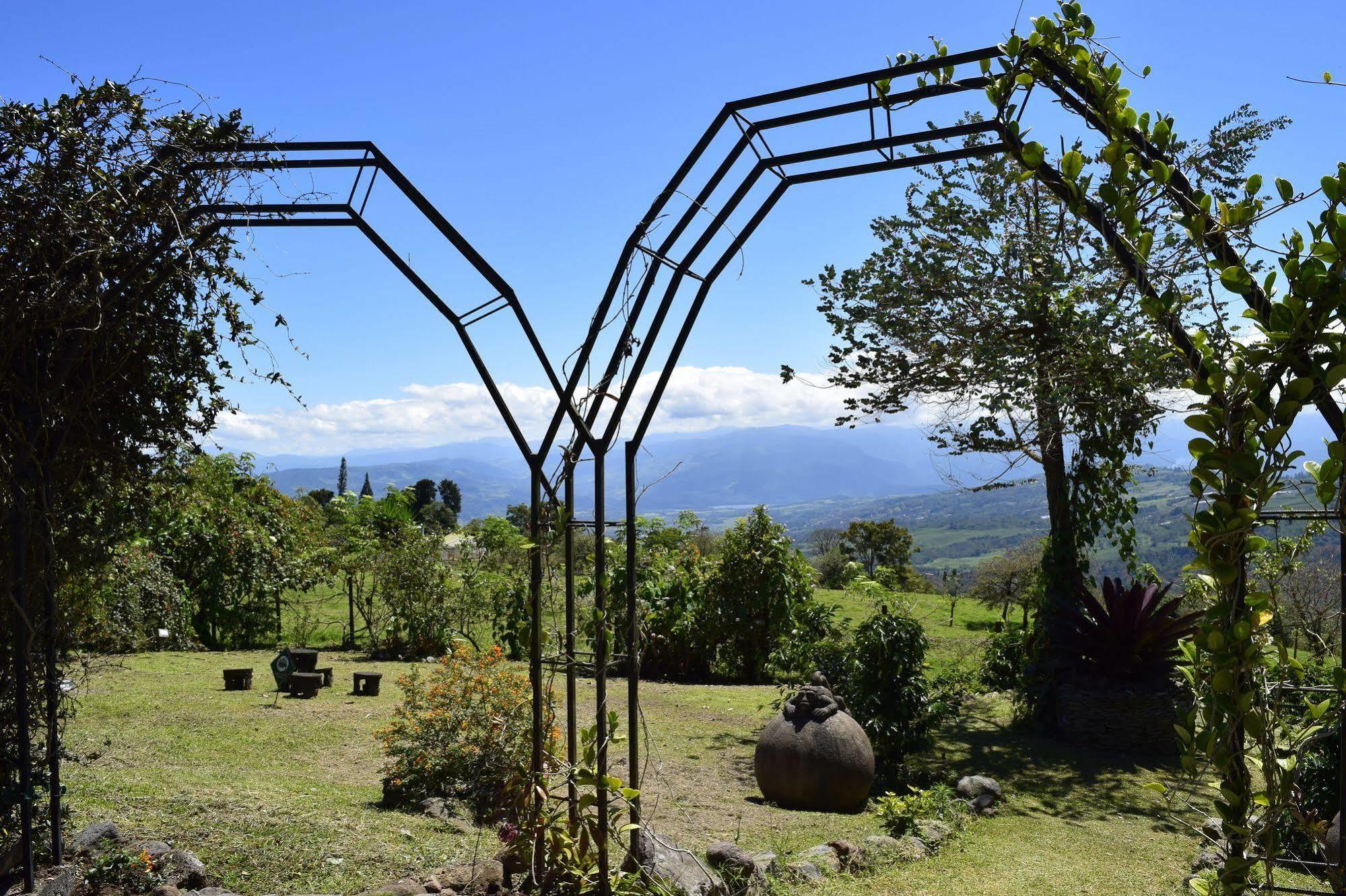 Guayabo