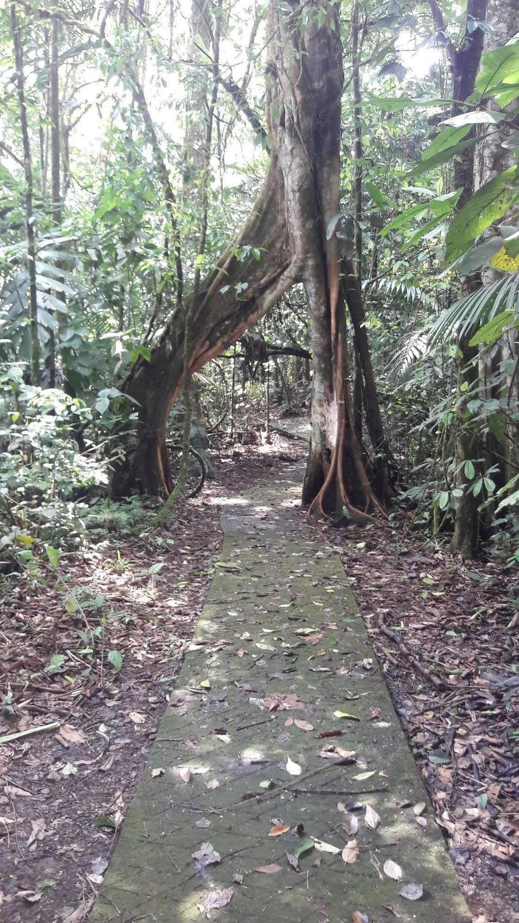 La Selva Biological Station 2* Sarapiqui