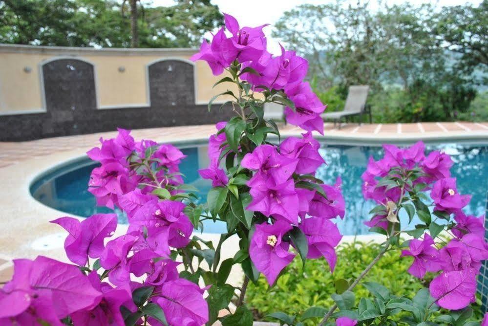 Florencia Hotel Turrialba