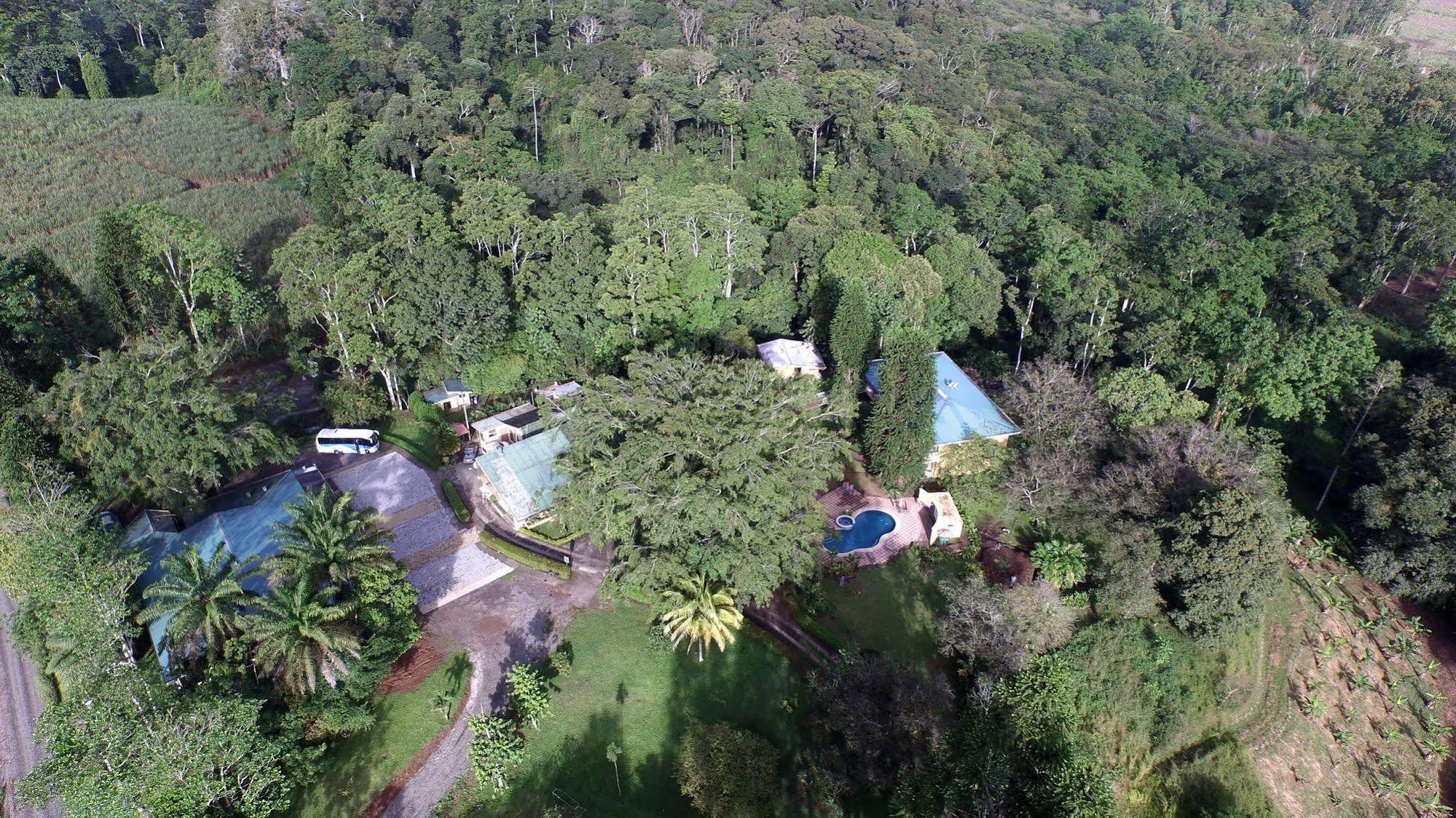 Florencia Hotel Turrialba