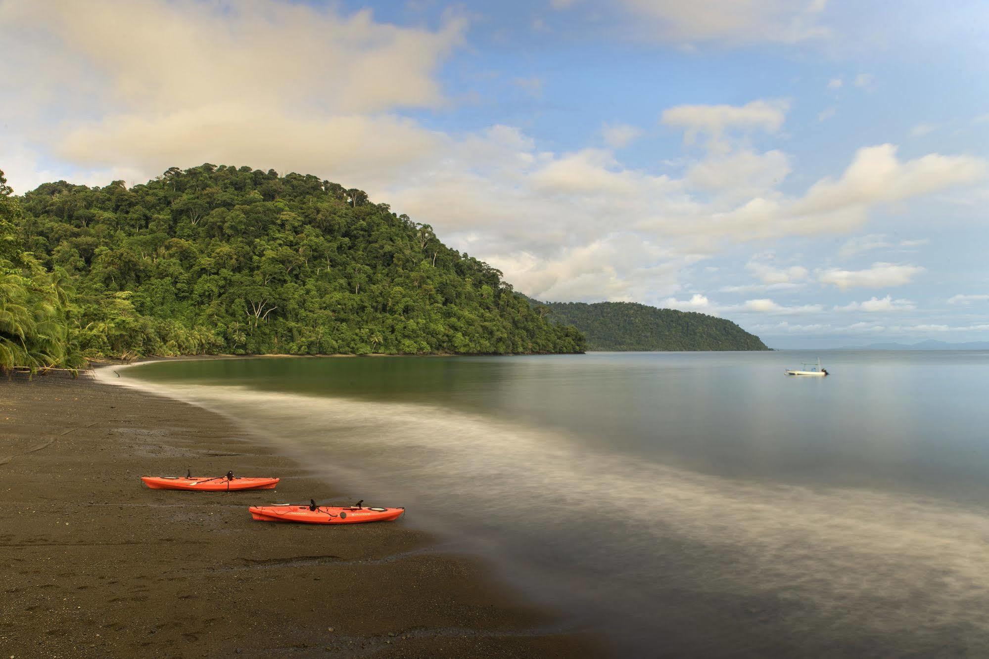 Playa Nicuesa Rainforest Eco Sanctuary *