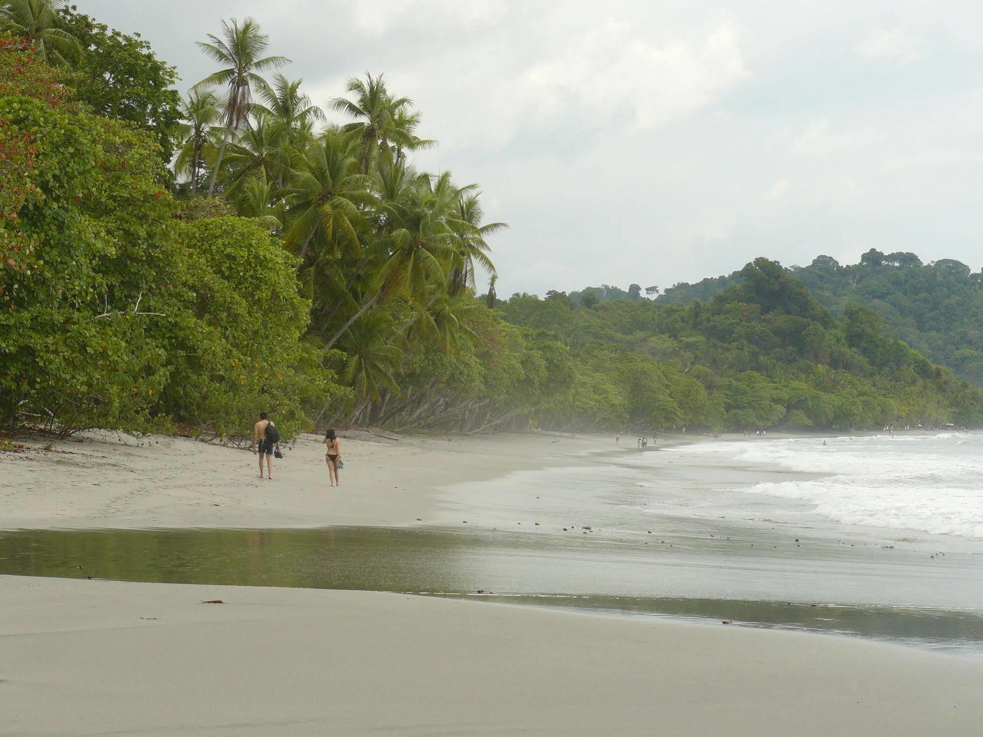Hotel Beach Packer Manuel Antonio