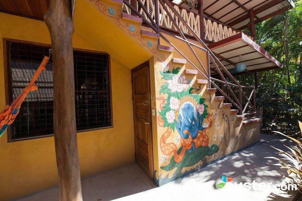 Casa Zen & Yoga Center Bed & Breakfast 3*